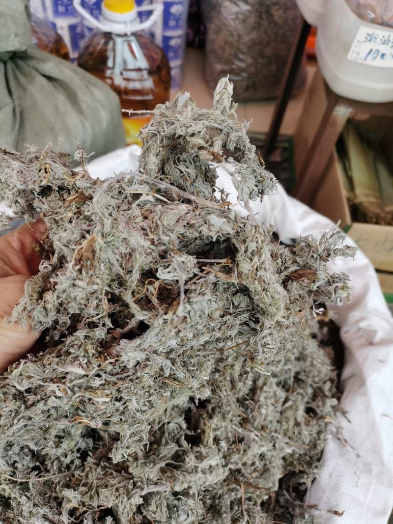 2023年新货绵茵陈，茵陈蒿，A货没杂质。