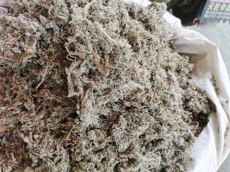 2023年新货绵茵陈，茵陈蒿，A货没杂质。