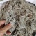 2023年新货绵茵陈，茵陈蒿，A货没杂质。