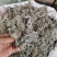 2023年新货绵茵陈，茵陈蒿，A货没杂质。