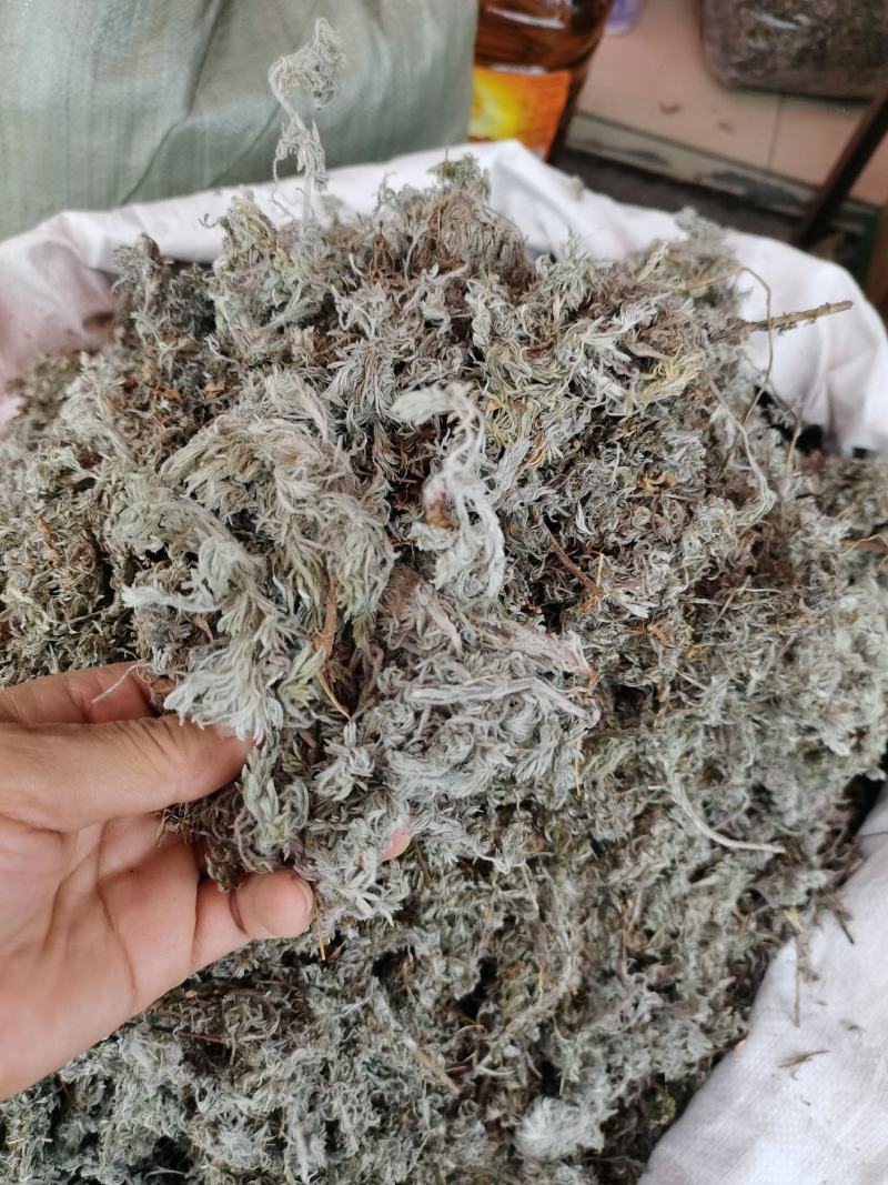 2023年新货绵茵陈，茵陈蒿，A货没杂质。