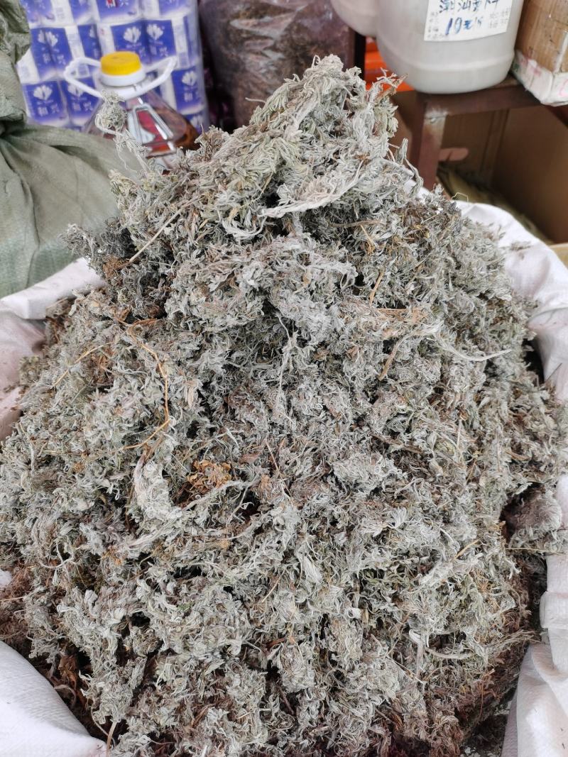 2023年新货绵茵陈，茵陈蒿，A货没杂质。
