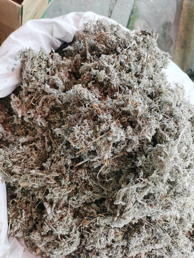 2023年新货绵茵陈，茵陈蒿，A货没杂质。