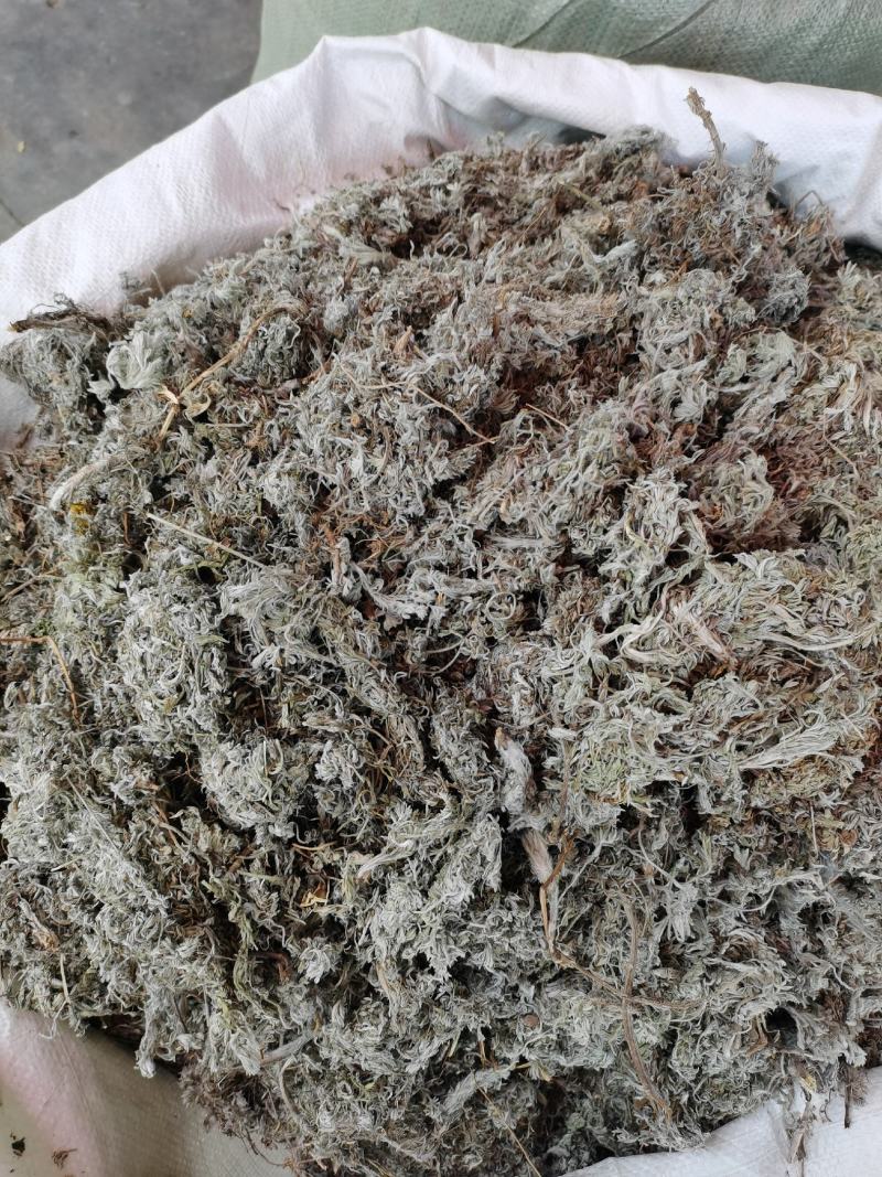 2023年新货绵茵陈，茵陈蒿，A货没杂质。