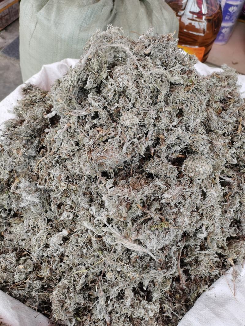 2023年新货绵茵陈，茵陈蒿，A货没杂质。