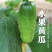 水果黄瓜旱黄瓜湖北黄瓜产地看货一手货源保质保量