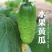 水果黄瓜旱黄瓜湖北黄瓜产地看货一手货源保质保量