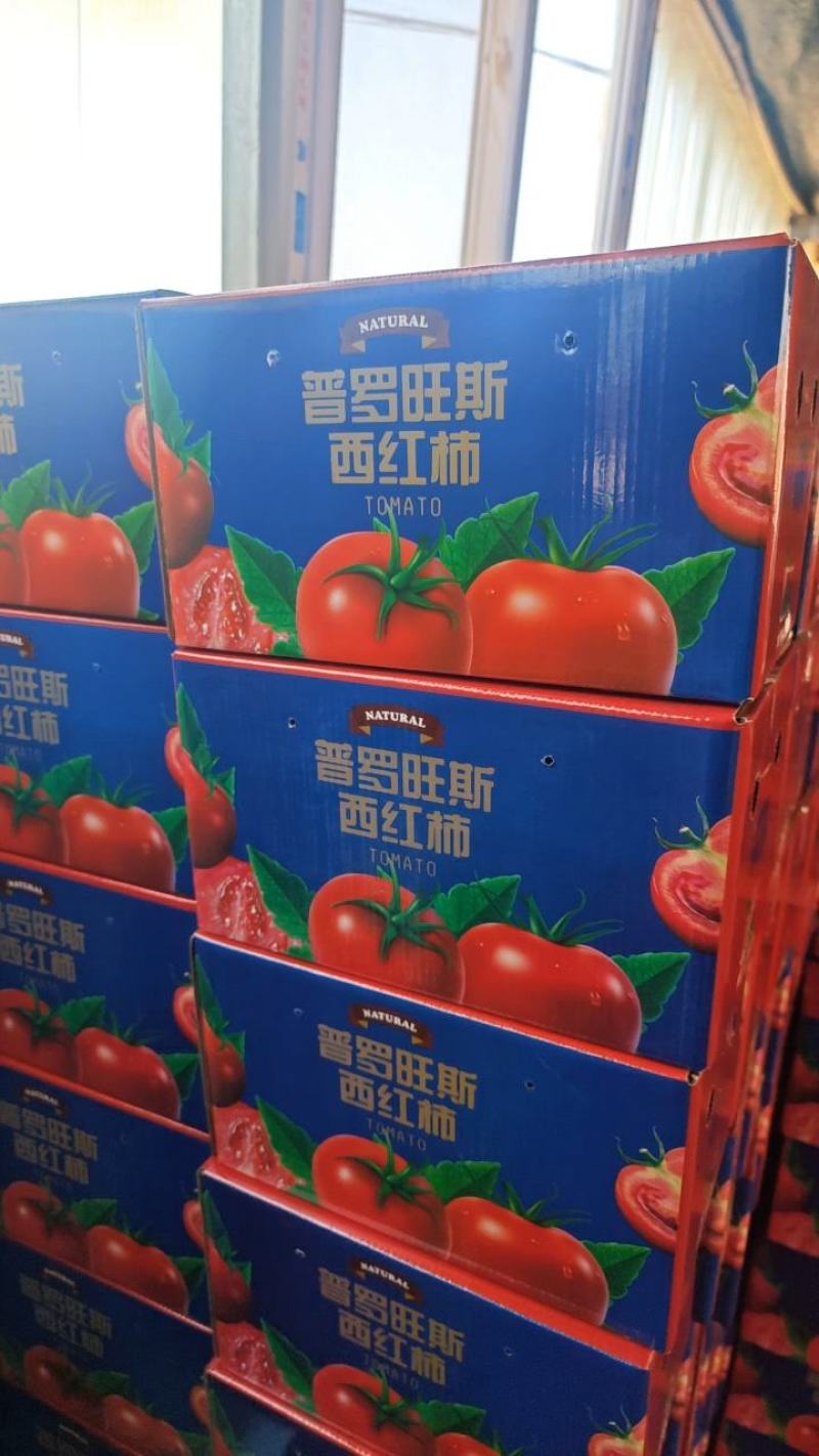 山东番茄沙瓤西红柿普罗旺斯西红柿落地配精品礼盒包装