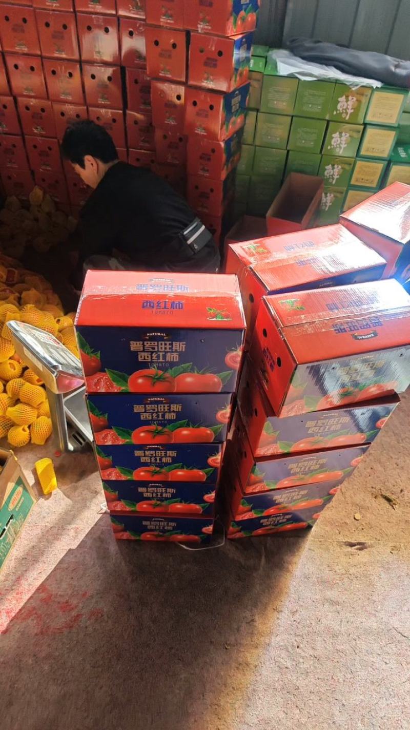 山东番茄沙瓤西红柿普罗旺斯西红柿落地配精品礼盒包装