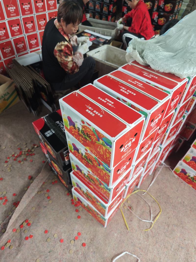 山东番茄沙瓤西红柿普罗旺斯西红柿落地配精品礼盒包装