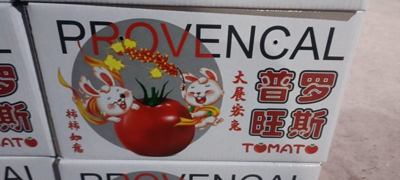 山东番茄沙瓤西红柿普罗旺斯西红柿落地配精品礼盒包装