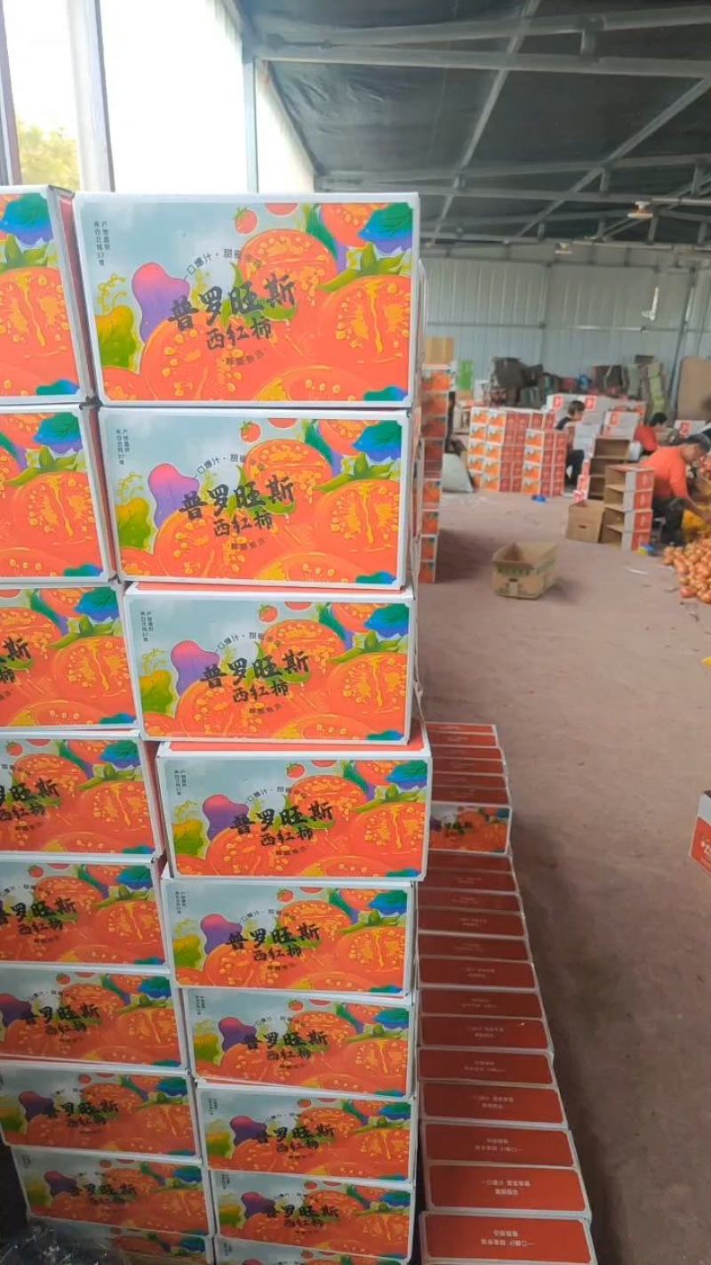 山东番茄沙瓤西红柿普罗旺斯西红柿落地配精品礼盒包装