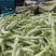 精品大量，白芸豆角欢迎老板采购！