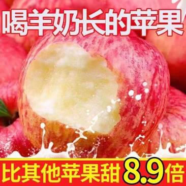 果小北羊奶苹果当季新鲜红富士苹果水果丑苹果一整箱直发