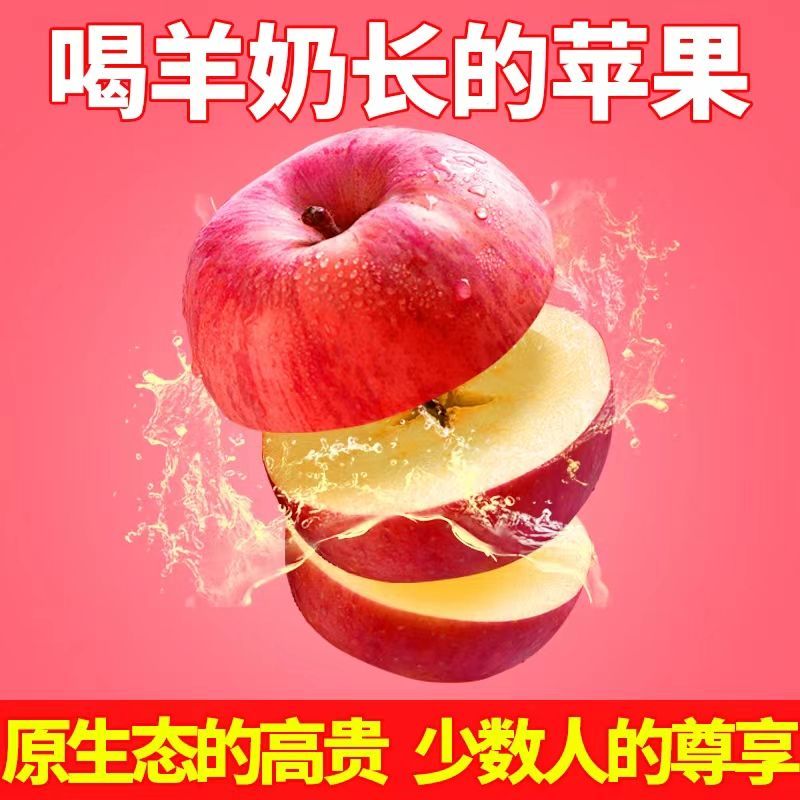 果小北羊奶苹果当季新鲜红富士苹果水果丑苹果一整箱直发