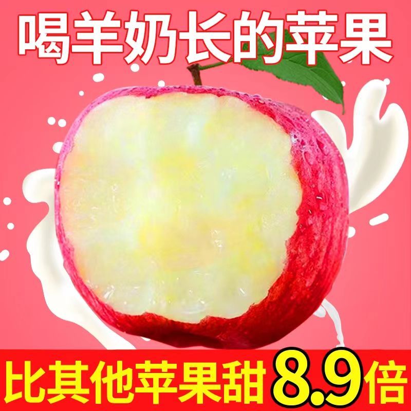 果小北羊奶苹果当季新鲜红富士苹果水果丑苹果一整箱直发