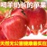 果小北羊奶苹果当季新鲜红富士苹果水果丑苹果一整箱直发