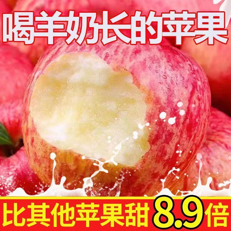 果小北羊奶苹果当季新鲜红富士苹果水果丑苹果一整箱直发