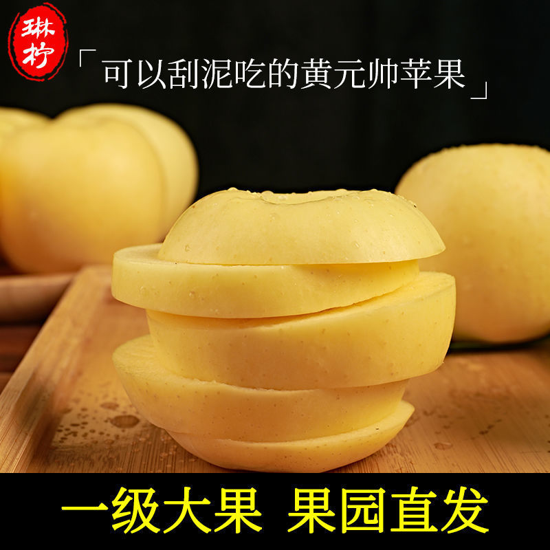 黄元帅苹果黄香蕉粉苹果面苹果黄金帅老人婴儿刮泥苹果水果金