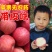 山东烟台红富士栖霞苹果水果吃的新鲜现摘脆甜一级当季整箱批