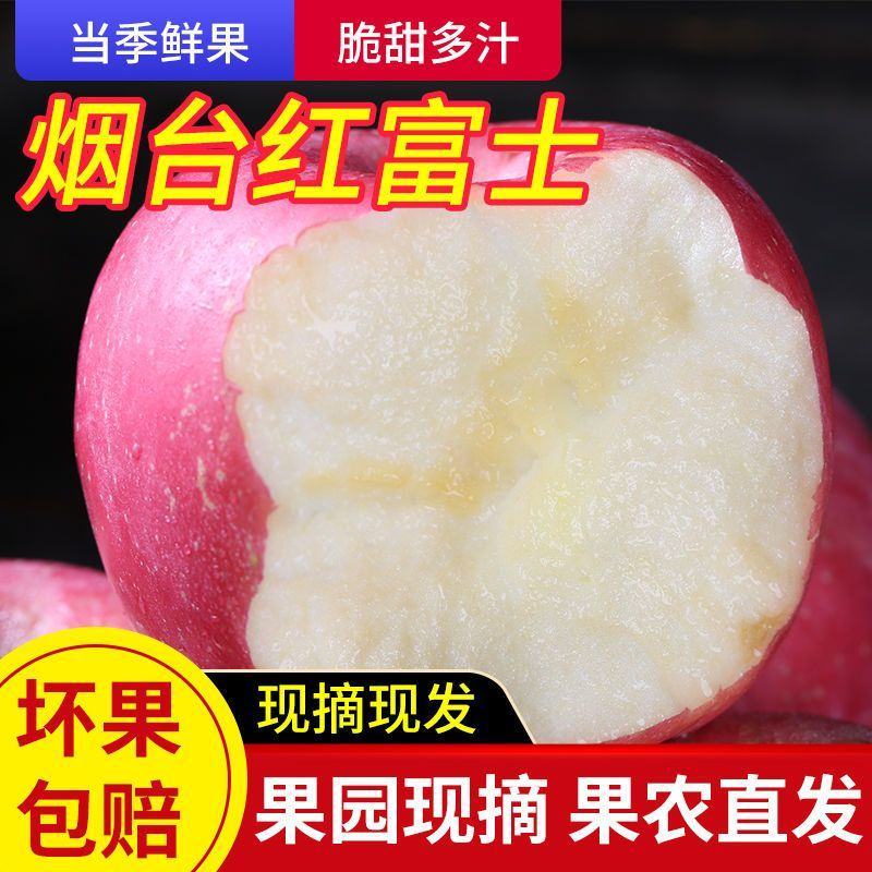 山东烟台红富士栖霞苹果水果吃的新鲜现摘脆甜一级当季整箱批