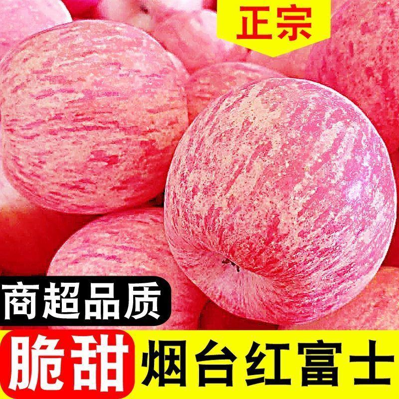 山东烟台红富士栖霞苹果水果吃的新鲜现摘脆甜一级当季整箱批