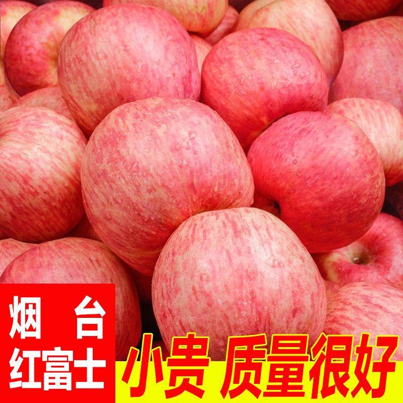 山东烟台红富士栖霞苹果水果吃的新鲜现摘脆甜一级当季整箱批