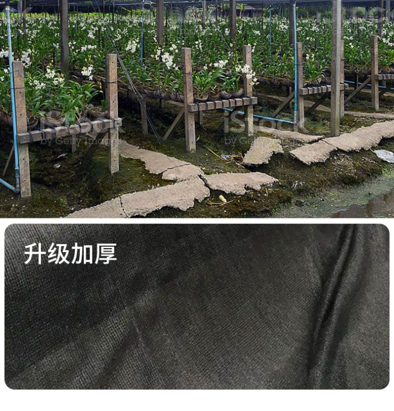 黑色遮阳网防晒网加密加厚抗老化整卷农用大棚多肉楼顶隔热太