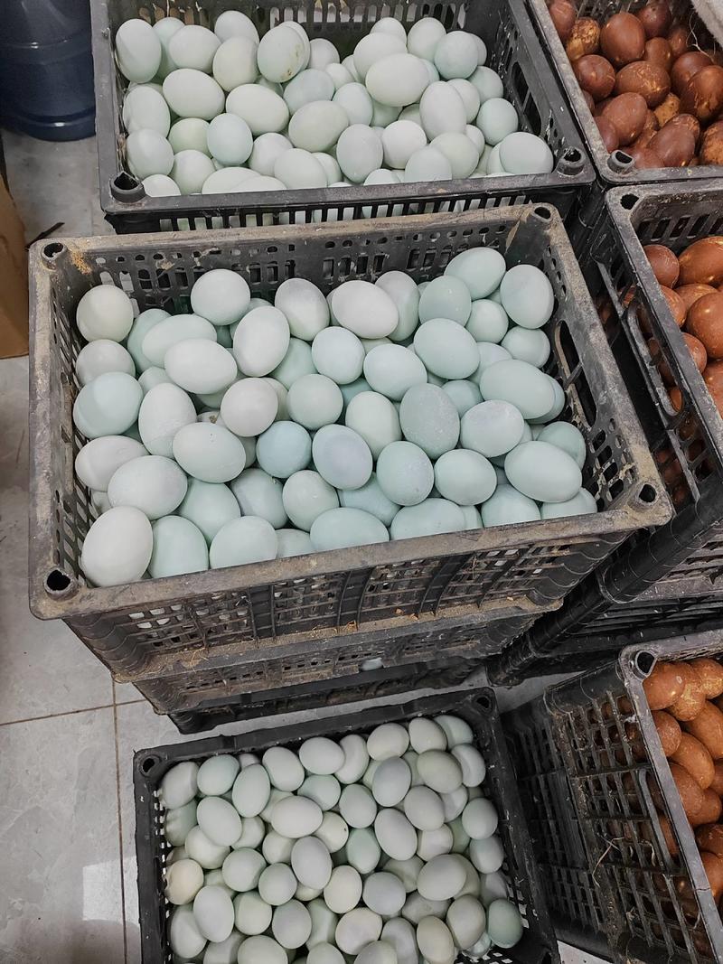 咸鸭蛋质量保障量大从优对接全国欢迎订购