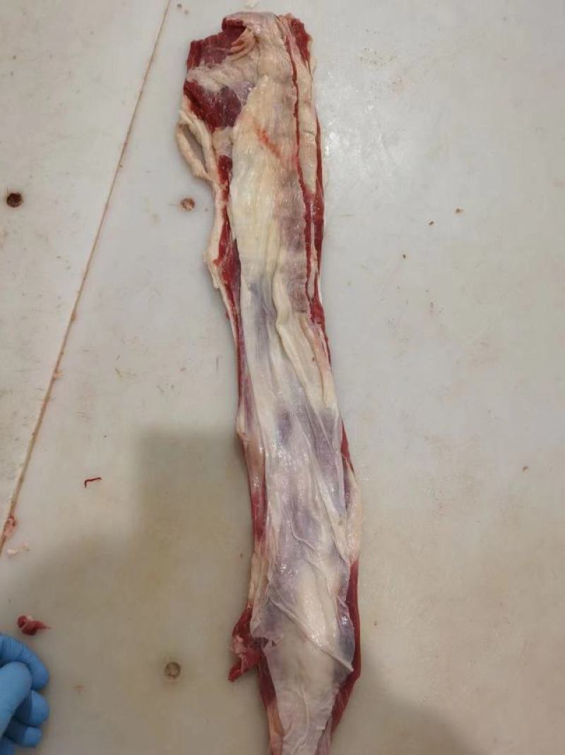 河北廊坊牛腩三河2号筋、俗称牛腩边大量供应量大价可谈