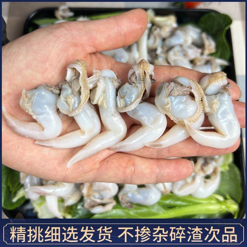 鸟贝肉新鲜冷冻鲜活冰冻鸟贝鸟蛤捞汁火锅烧烤食材批发