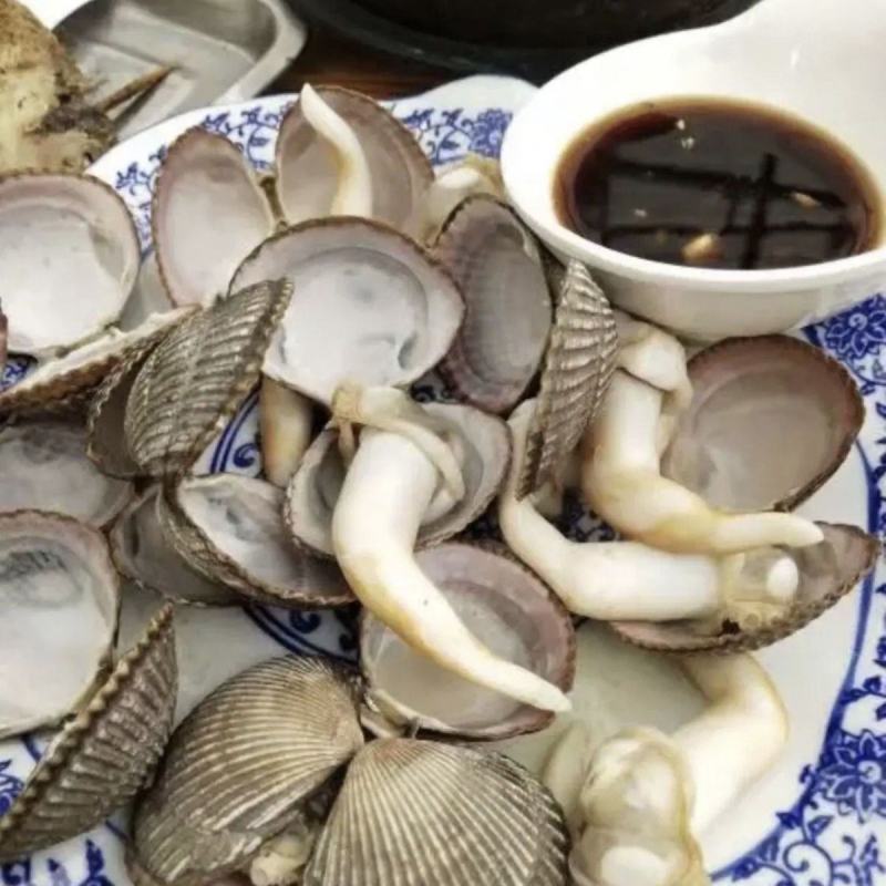 鸟贝肉新鲜冷冻鲜活冰冻鸟贝鸟蛤捞汁火锅烧烤食材批发