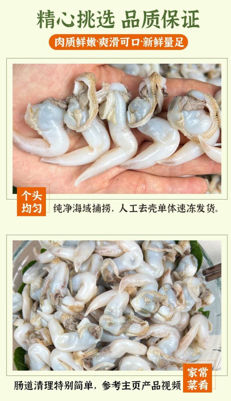 鸟贝肉新鲜冷冻鲜活冰冻鸟贝鸟蛤捞汁火锅烧烤食材批发
