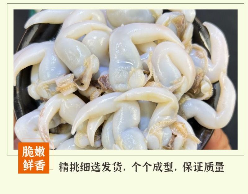 鸟贝肉新鲜冷冻鲜活冰冻鸟贝鸟蛤捞汁火锅烧烤食材批发