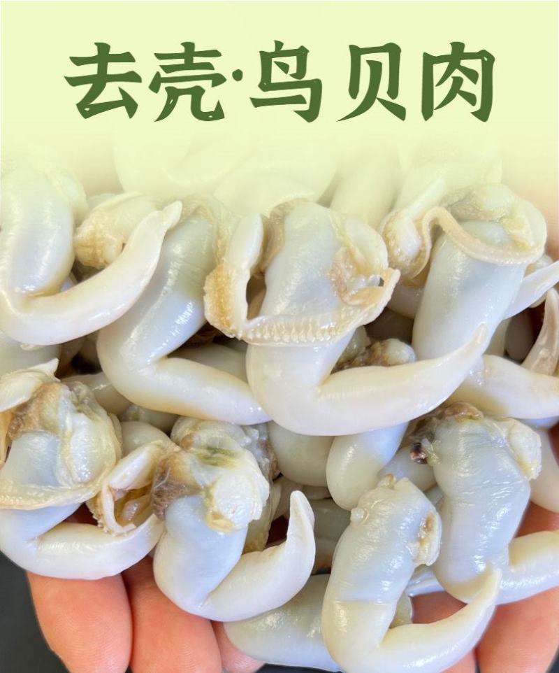 鸟贝肉新鲜冷冻鲜活冰冻鸟贝鸟蛤捞汁火锅烧烤食材批发