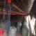 【推荐】广东鸡粪基地发货量大从优价格优惠欢迎电联