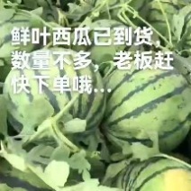 精品美都，口感好，含糖量高