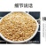 黄金色亚麻籽批发新货榨油原料粮食亚麻籽