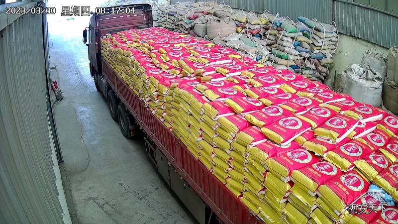 黄金色亚麻籽批发新货榨油原料粮食亚麻籽