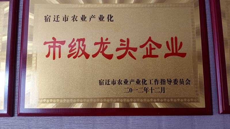 特种养殖，宽体金线蛭，蚂蟥，苏南特大种蛭苗，青年苗