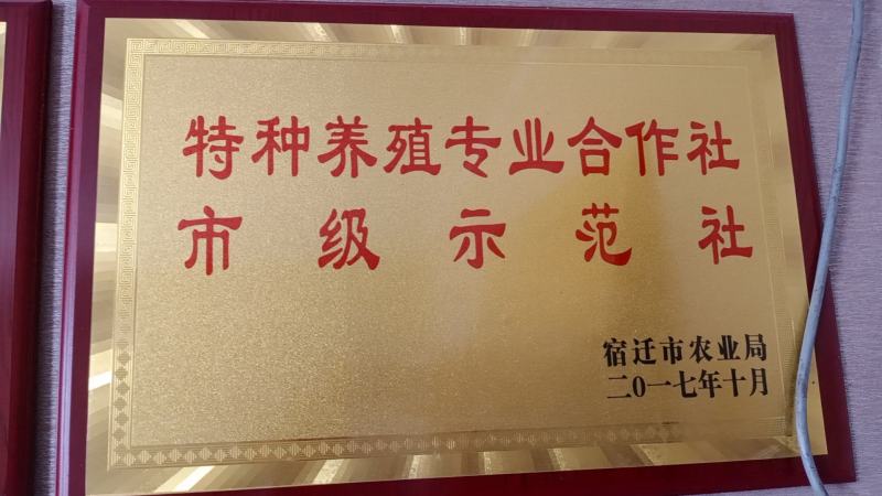 特种养殖，宽体金线蛭，蚂蟥，苏南特大种苗，幼苗
