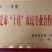 特种养殖，宽体金线蛭，蚂蟥，苏南特大种苗，幼苗