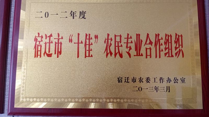 特种养殖，宽体金线蛭，蚂蟥，苏南特大种苗，幼苗
