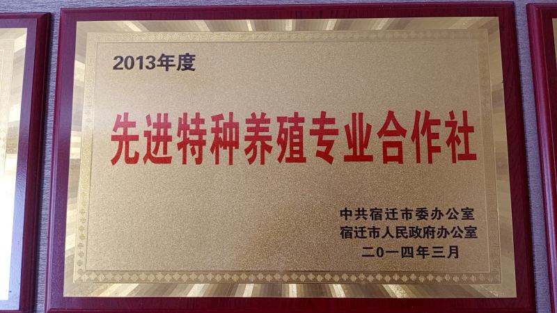 特种养殖，宽体金线蛭，蚂蟥，苏南特大种苗，幼苗