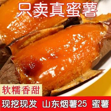 一件代发精品山东烟薯25现货速发软糯香甜