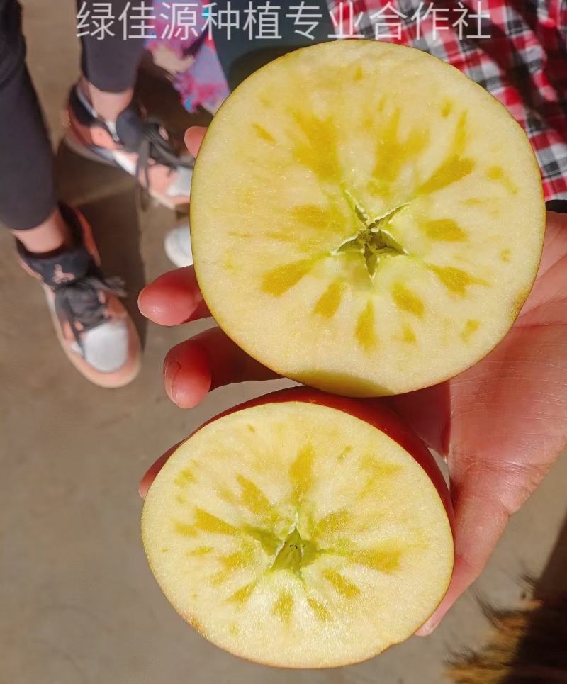 昭通的高原苹果，糖心苹果。