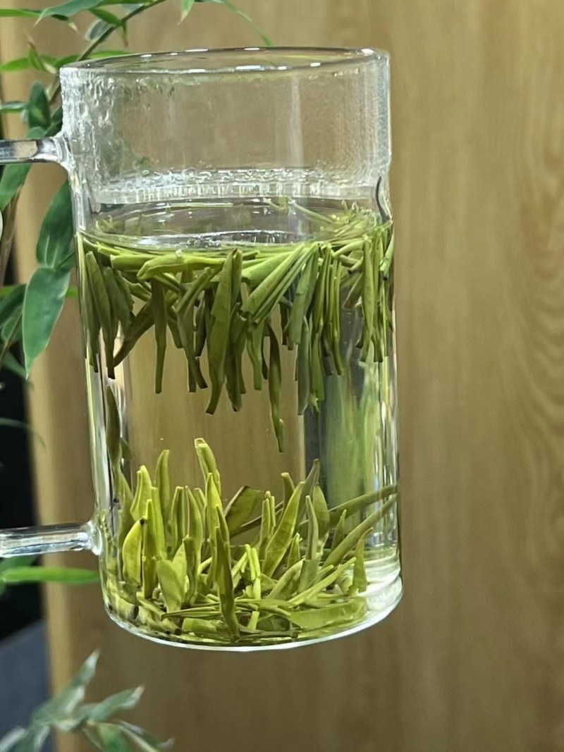 明前雀舌如果治愈有颜色，那么一定是绿色来一杯鲜爽甘