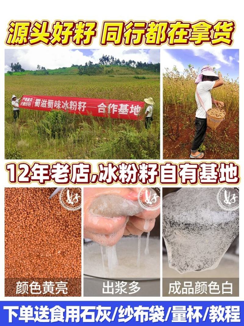 假酸浆（木瓜籽）