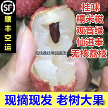 广西灵山桂味荔枝糯米糍仙进奉一件，顺丰5/10斤