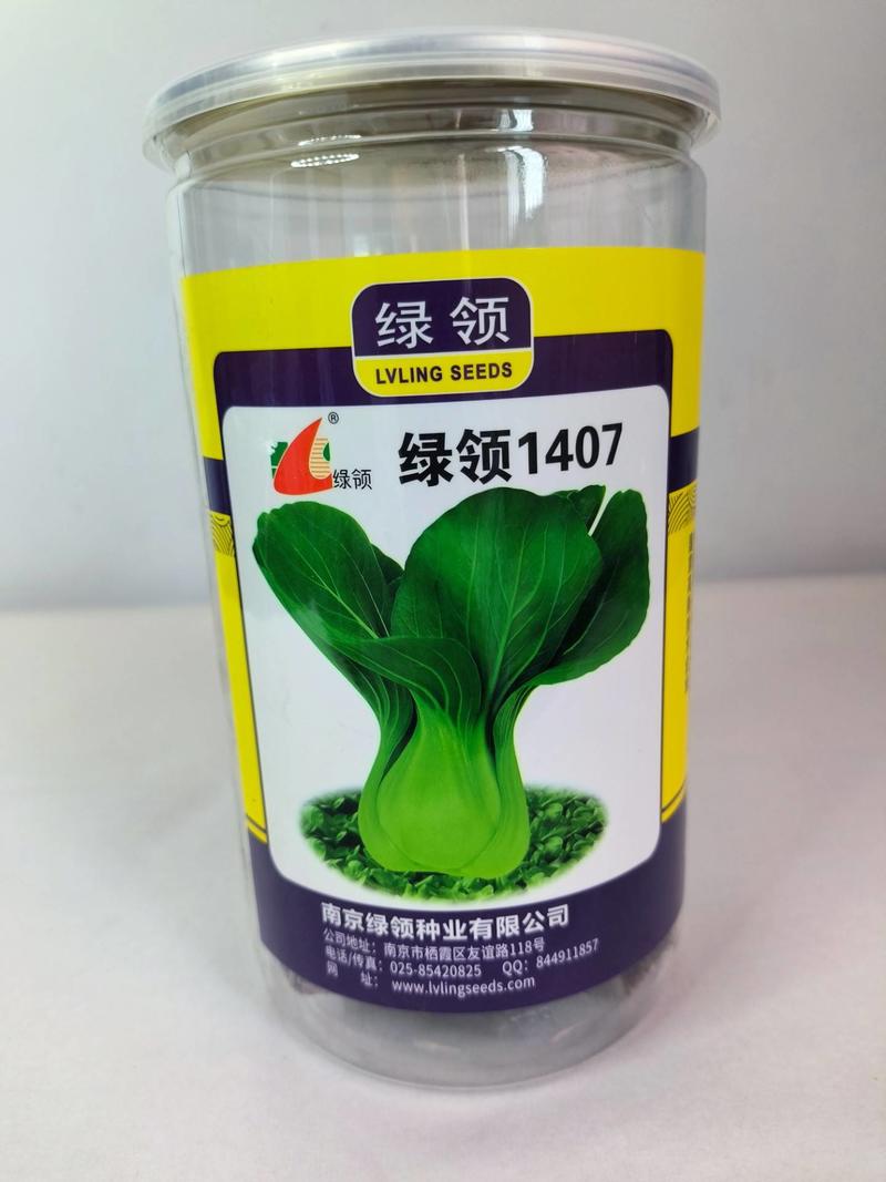 【厂家批发】绿领1407上海青种子株型直立耐热耐湿品种整齐